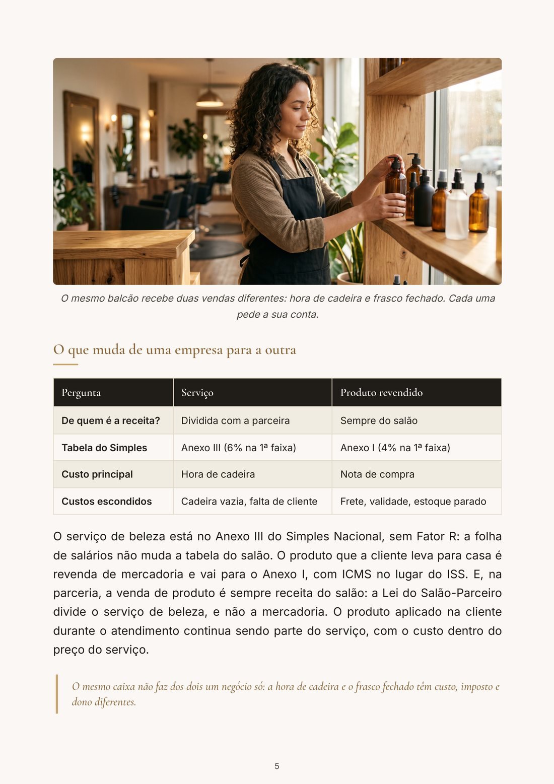 Página do capítulo 1 do ebook O Preço Certo Para Quem Vende Serviço e Produto Monofásico